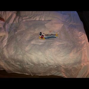 Disney Family Ponchos - 2 adult 2 kid